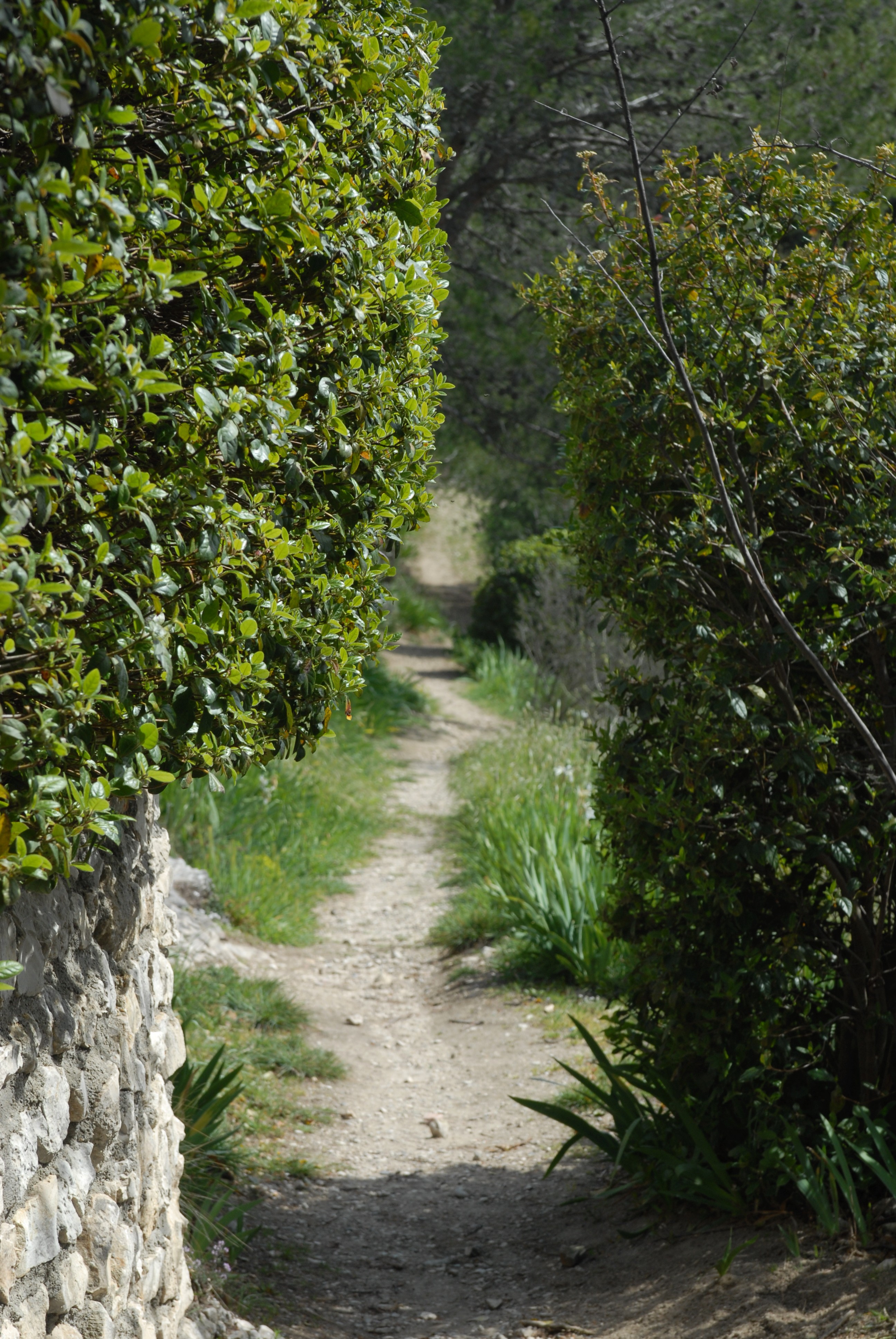 Le Parc des Tours  France Provence-Alpes-Côte d'Azur Bouches-du-Rhône Châteaurenard 13160