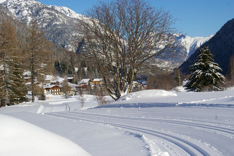 Pistes ski de fond à Vallorcine