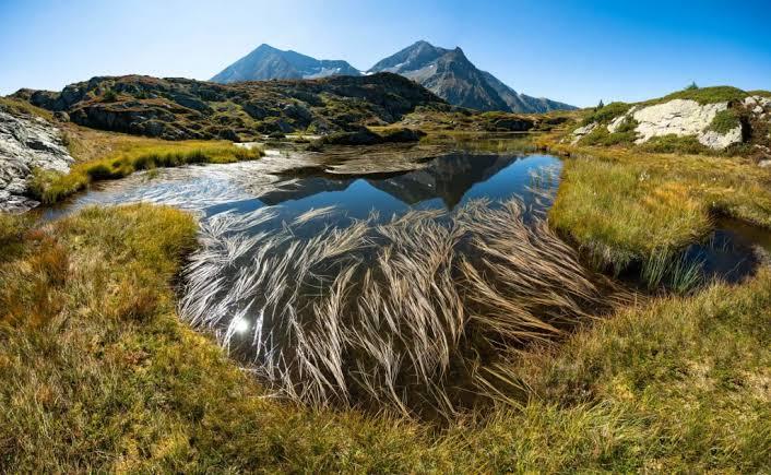 SORTIE NATURE : « Le plateau des lacs du Taillefer, une mosaïque de milieux humides d’altitude exceptionnels »