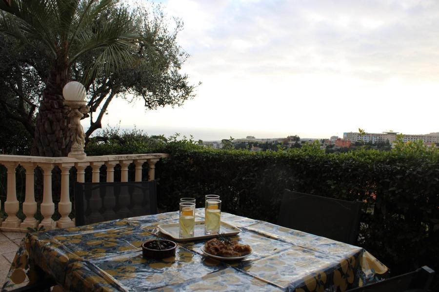 Le Clos-Terrasse privative-Nice-Gîtes de France des Alpes-Maritimes