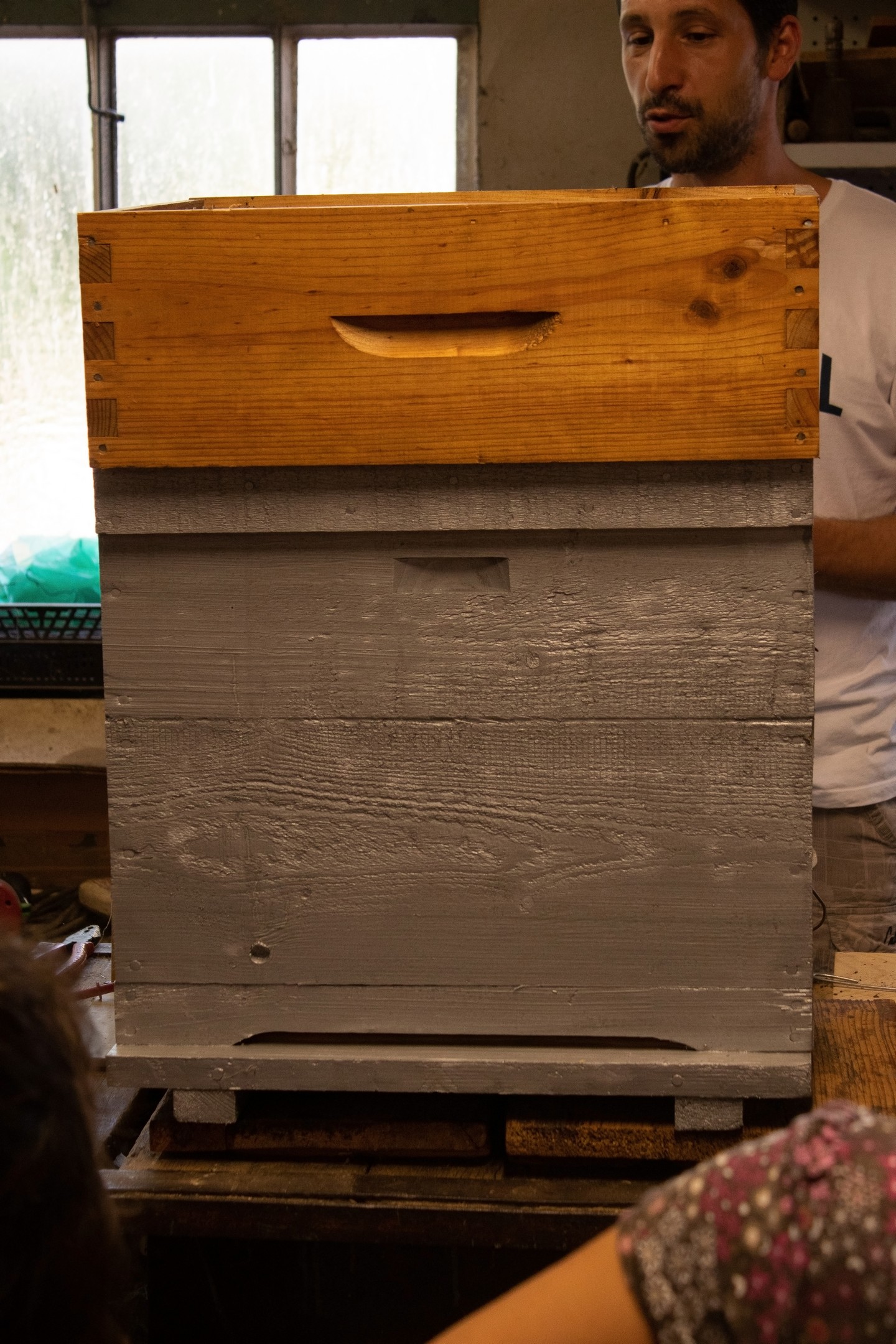 Le Rucher des Alpilles