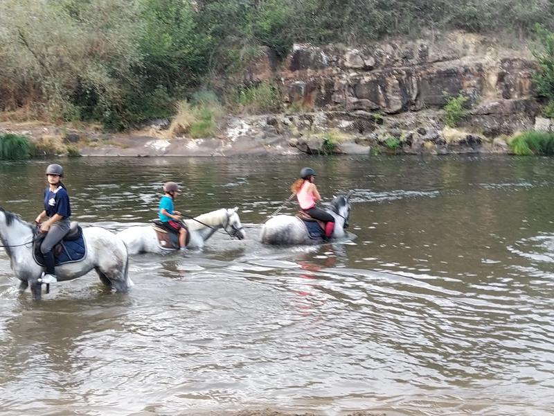 Balades à cheval au bord de l'Allier