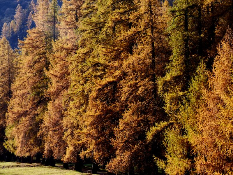 Sentier muséo du palais de la mine