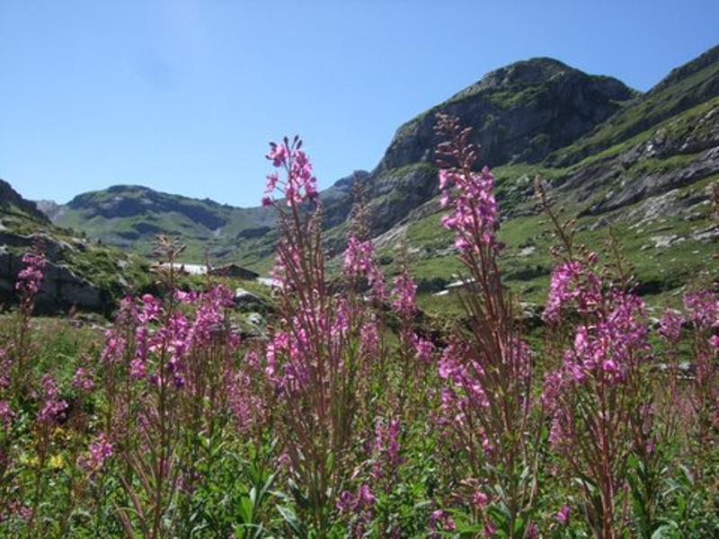 Vue depuis la terrasse