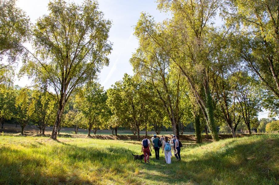 Balade d'automne Sentier métropolitain de GrandAngoulême "Les univers parallèles"