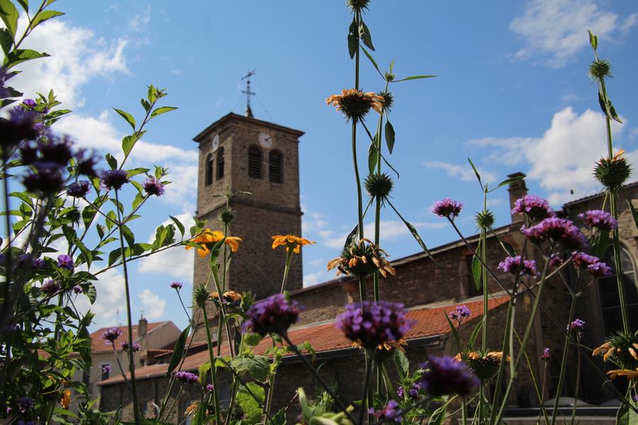 Eglise Saint-Michel_Chazelles-sur-Lyon