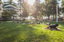 Roanne Plage - Yoga_Roanne