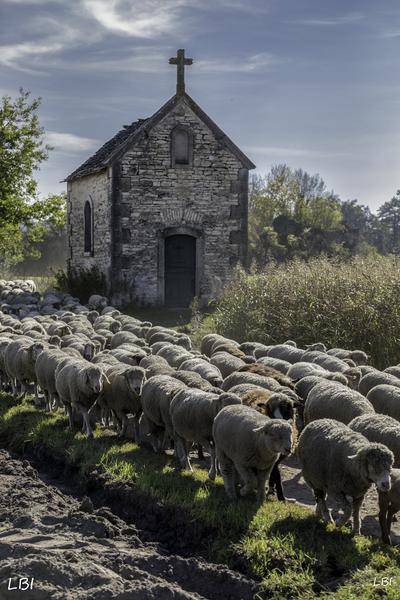 Saint-Marcel-Bel-Accueil - Balcons du Dauphiné - Nord-Isère - à moins d'une heure de Lyon