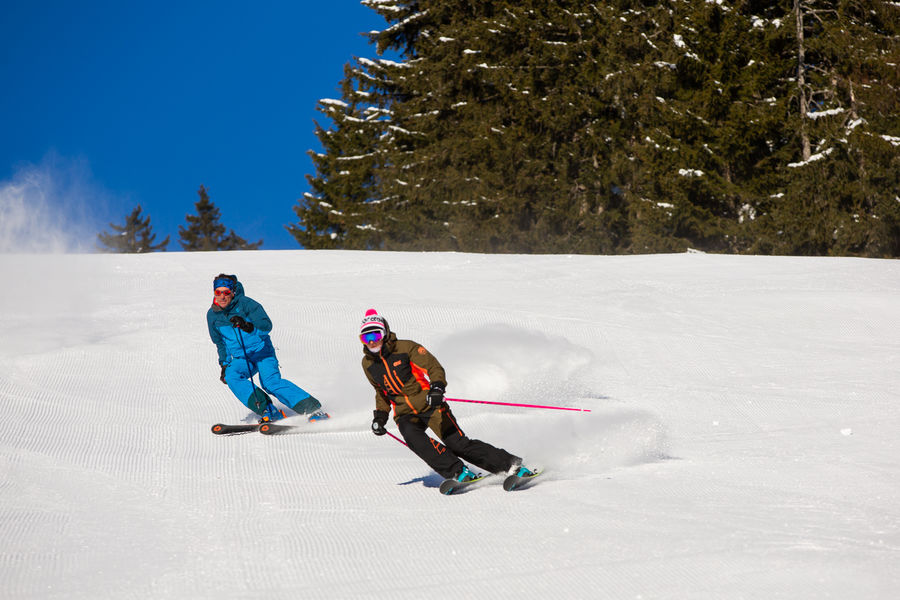 Adult alpine ski lessons