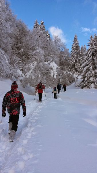 Randonnée raquettes