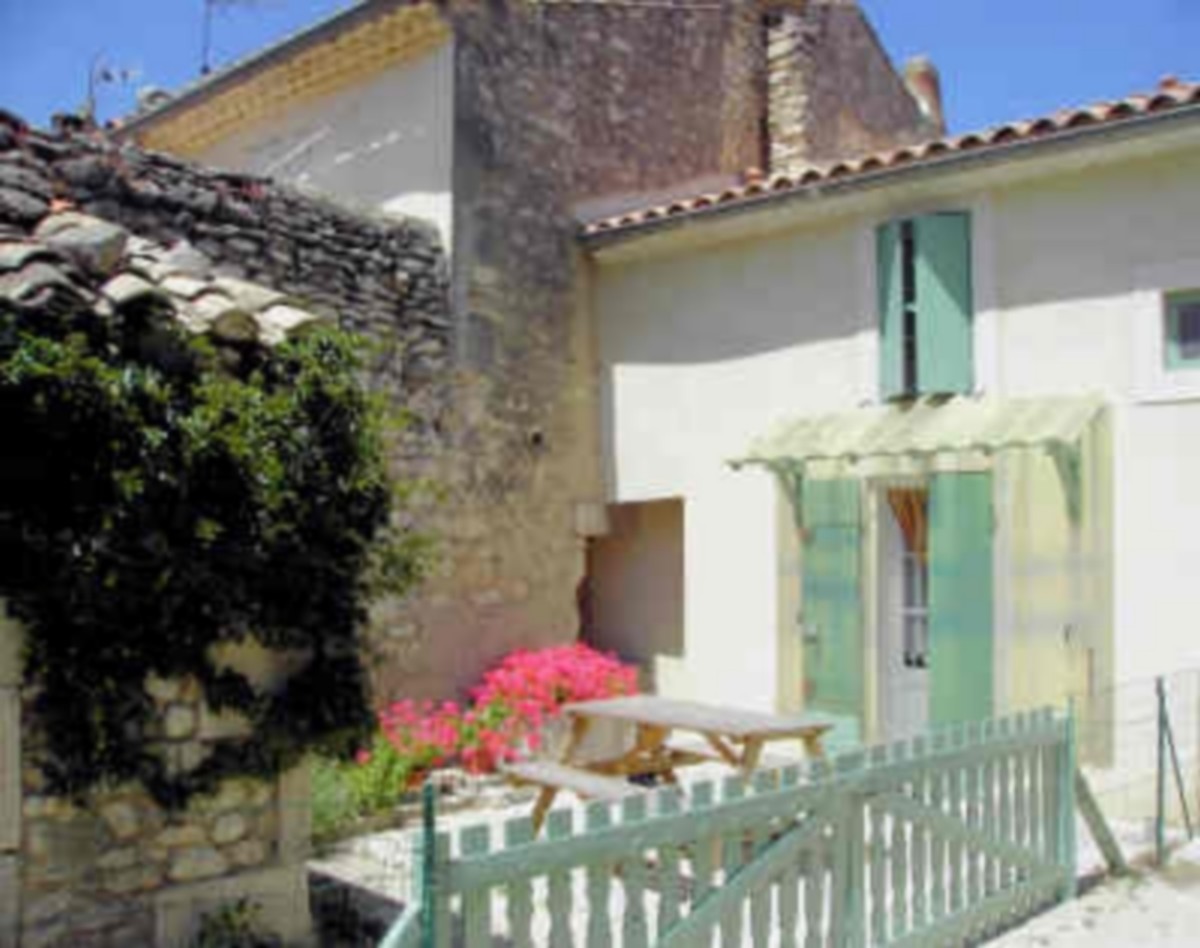 Le passiflore - photo 2