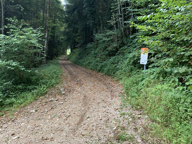 Randonnée - Sur les pentes de l'avocat