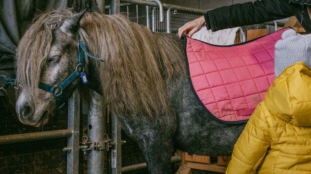 Balade à cheval