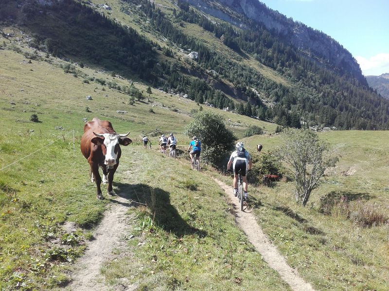 Ecole de VTT des Aravis