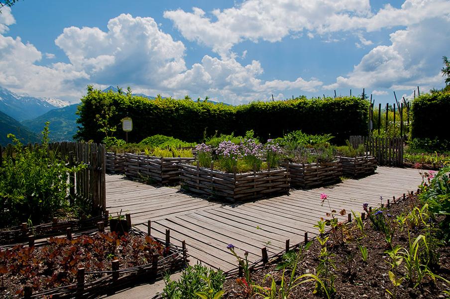 Visite guidée du Jardin des Cimes_Passy