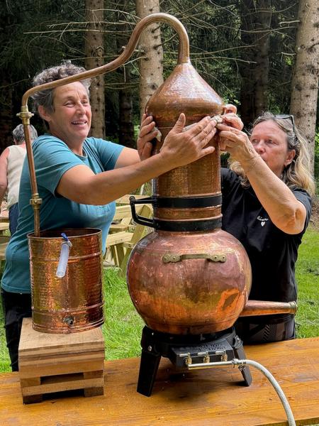Atelier Découverte de la Distillation (hydrolats et huiles essentielles)_Habère-Poche