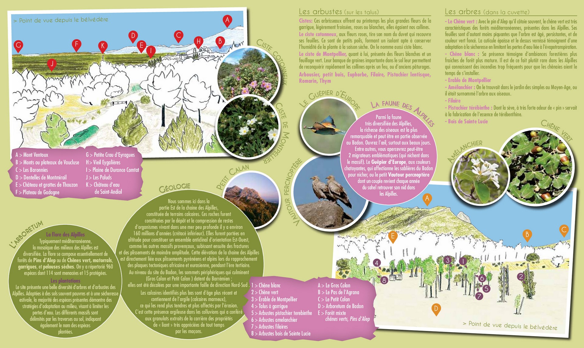 Arboretum de Badon - photo 2