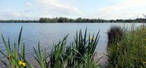 Les grands lacs