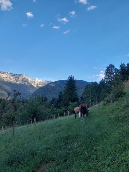 Cabanes refuges des Reys - St Pierre d'Entremont