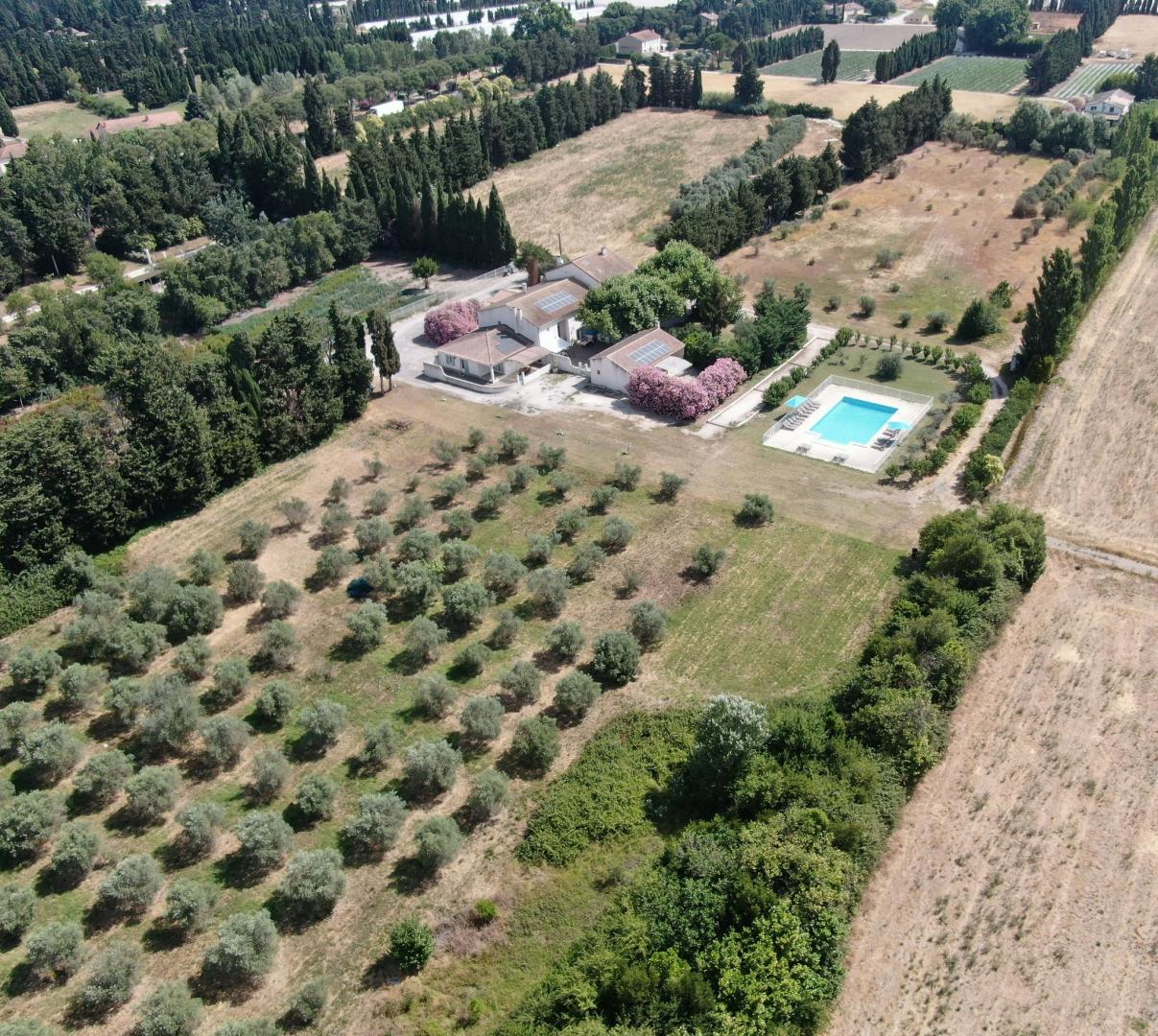 Les Alpilles, Châteaurenard - photo 31