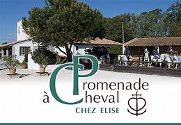 Chez Elise - Mas des Barres  France Provence-Alpes-Côte d'Azur Bouches-du-Rhône Saintes-Maries-de-la-Mer 13460