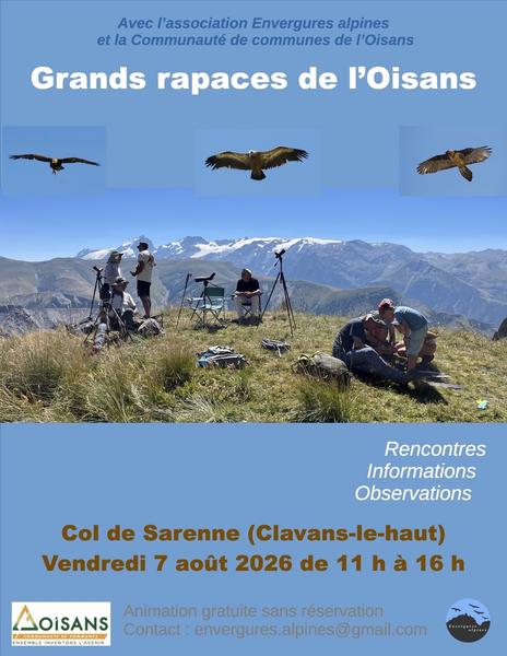 Les Grands rapaces de l'Oisans