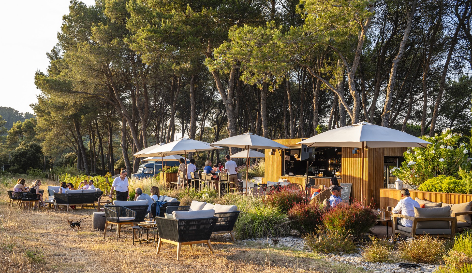 Domaine La Pierre Blanche, Eygalières - photo 9