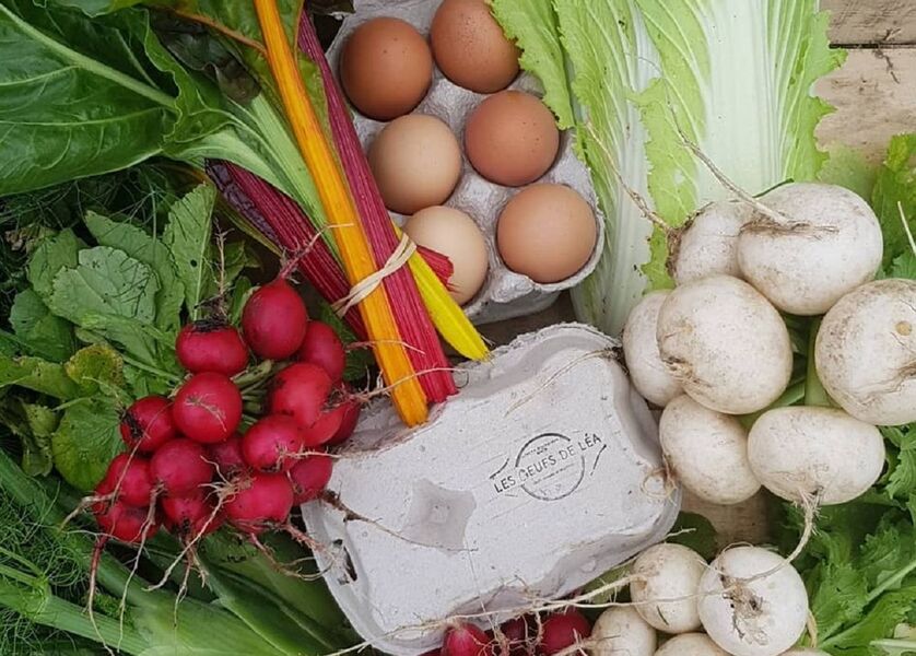 Les Oeufs de Léa