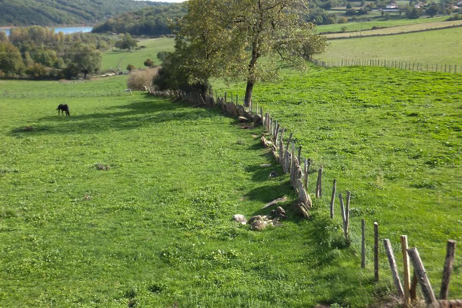 Moras - Balcons du Dauphiné - Nord-Isère - à moins d'une heure de Lyon