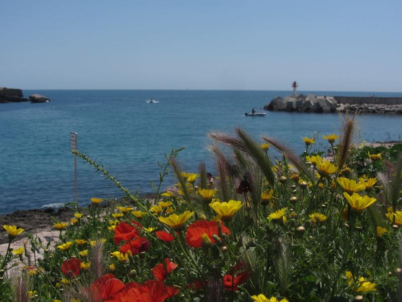 Port de Carro_Martigues