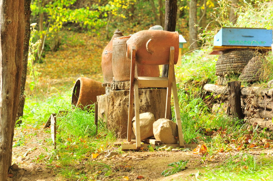 Rucher et jardin pédagogique des Pailhats de Courgoul