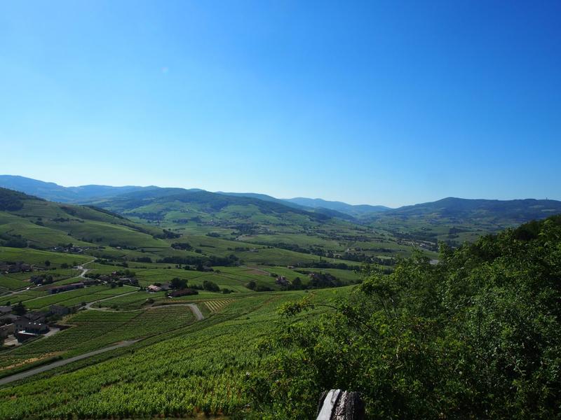 Le beaujolaos à vélo