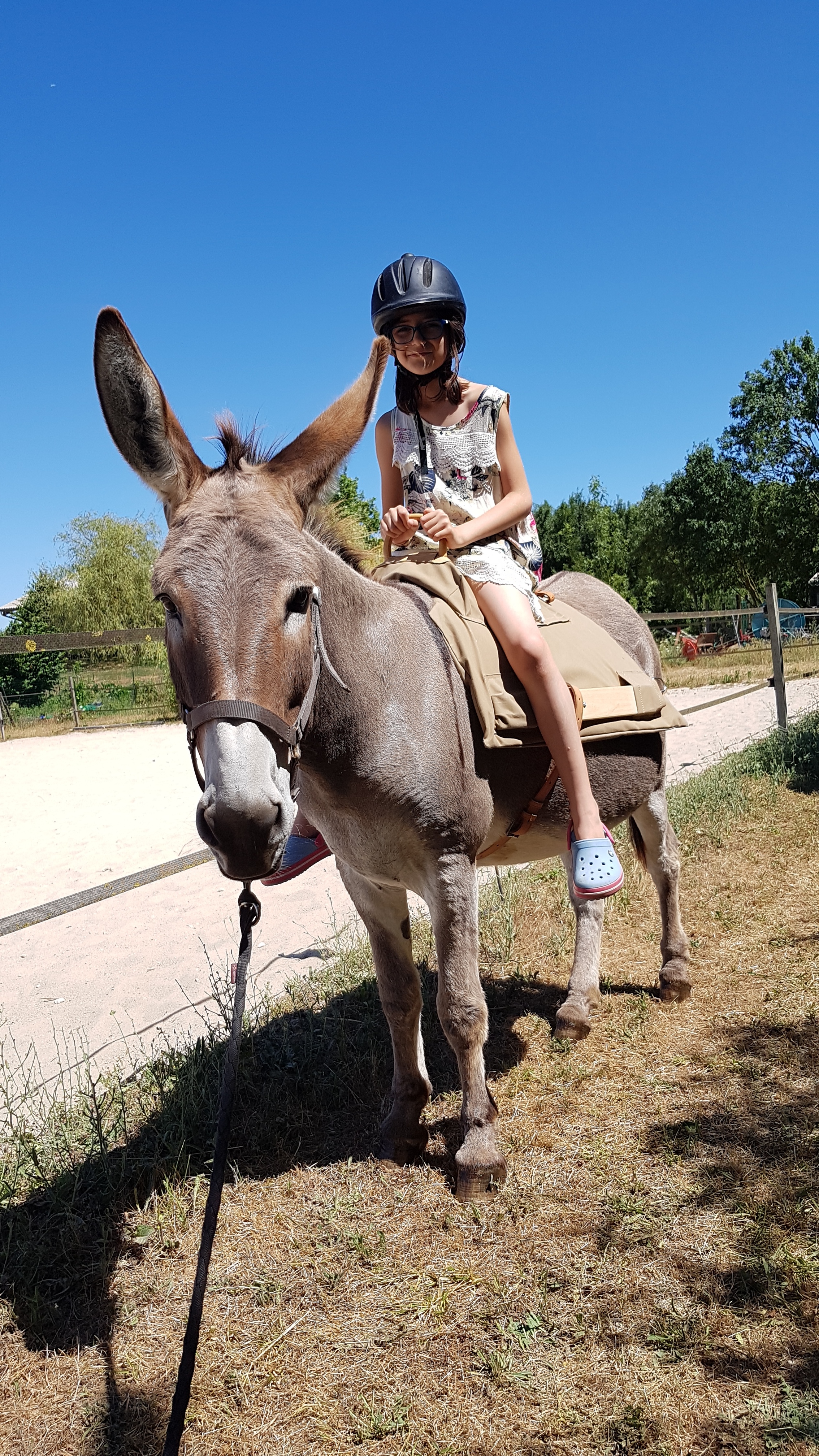 Balade avec âne - Asinerie des Varennes