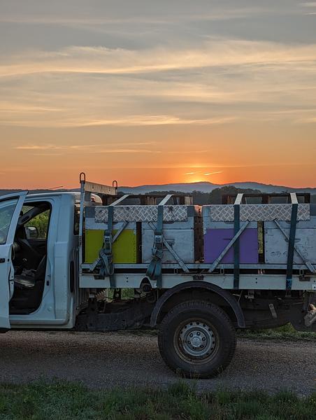 Des miels 100% ardéchois !