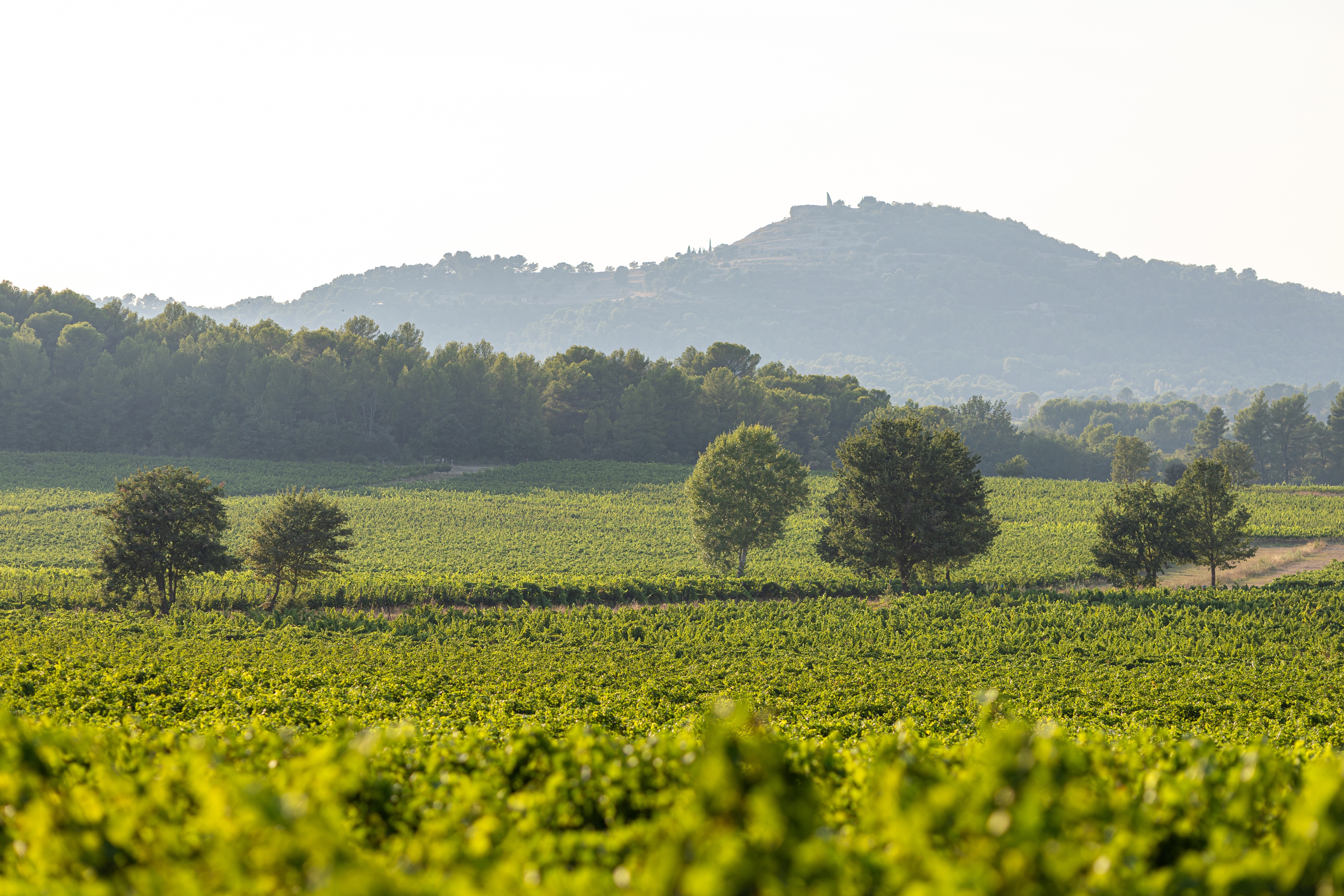 Château Paradis
