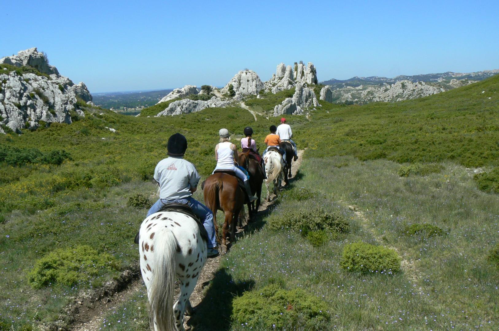 Le Mas Saint Roman - La pichoulino, Maussane-les-Alpilles - photo 15