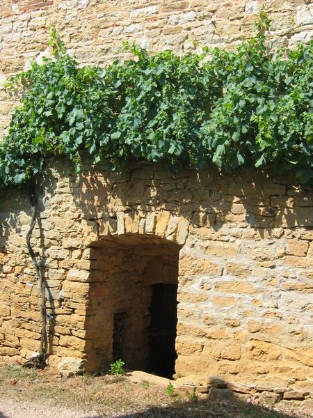 Circuit VTT n°12 (rouge) - Cavets, Villages revermontois_Val-Revermont