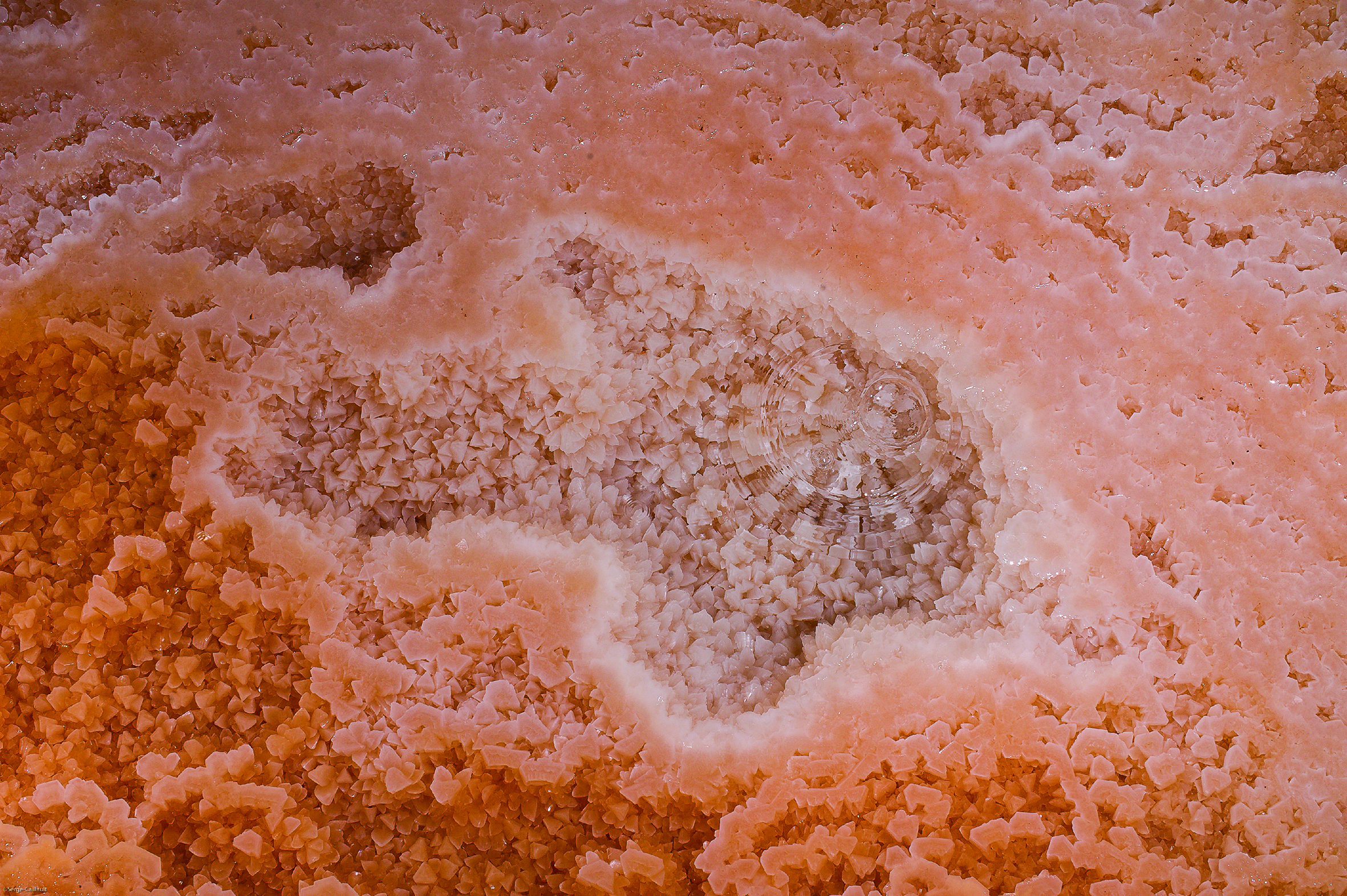 Exposition "Goutte à Goutte"_Claix