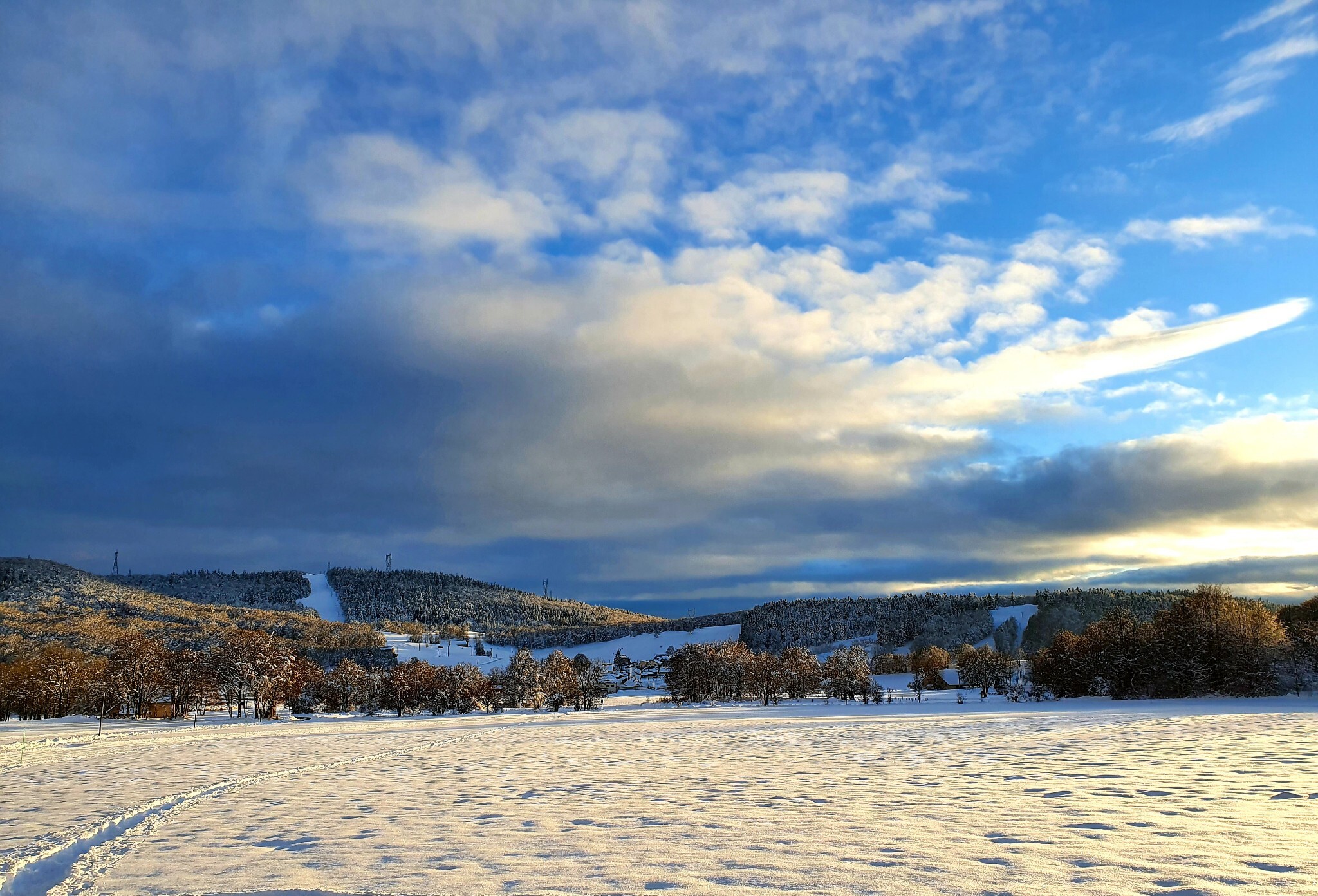 Piste bleue de ski de fond du Plateau de Retord : Les Ruches