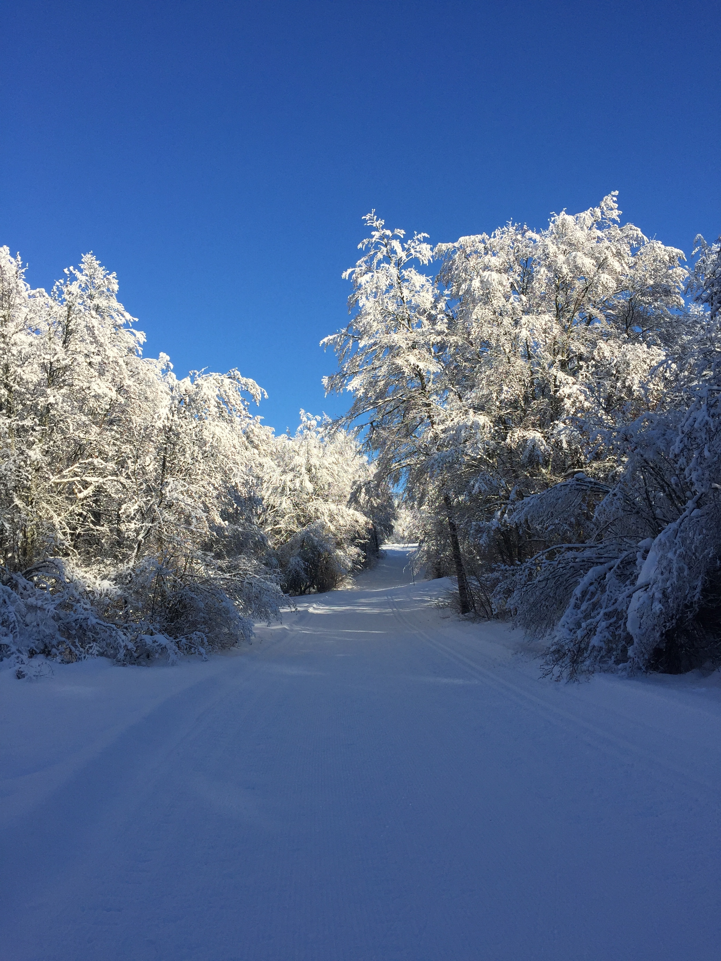 Piste bleue de ski de fond du Plateau de Retord : Le Balcon des Plans