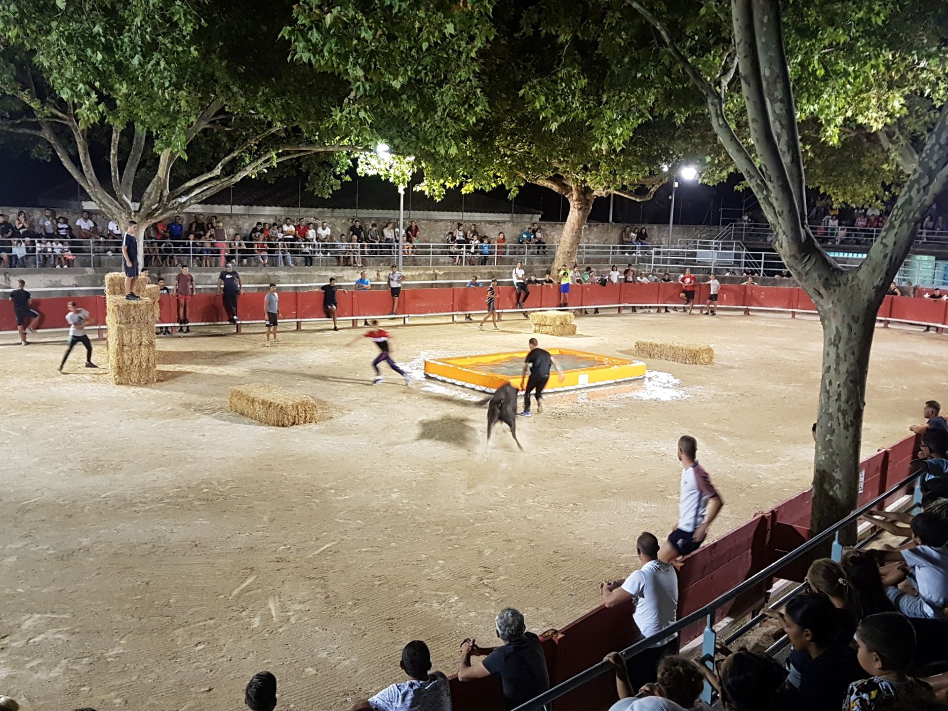 Tarascon Taureau Piscine / Club
