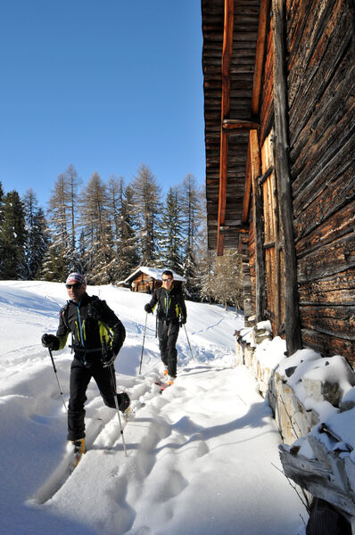 Itinéraire ski de randonnée : Les Coches - Plan Bois