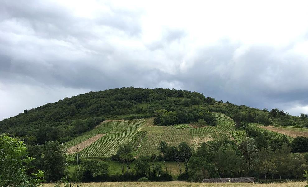 Domaine de la Dentelle_St Martin du Mont