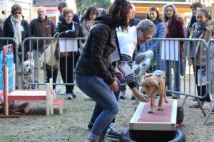 Portes Ouvertes de l'Ecole des Chiens Guides de Paris 