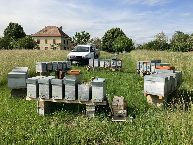 Miellerie des Balcons - Corbelin - Balcons du Dauphiné