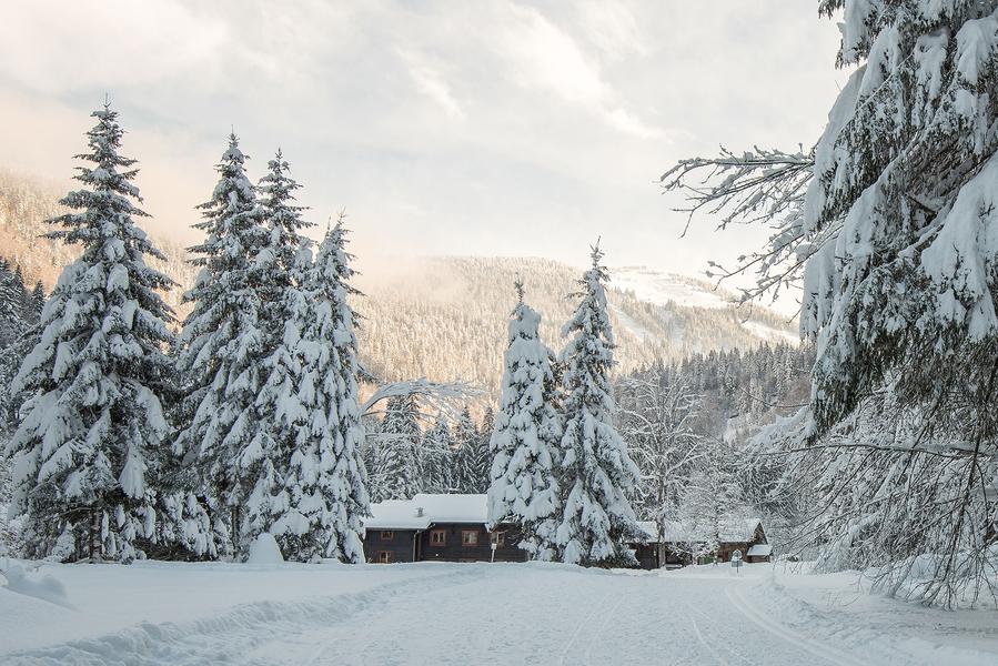 Des Albertans à Ardent en raquettes