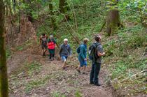Les Fêtes de la Chartreuse - Visite de la forêt vitrine Sylv’acctes_Entre-deux-…