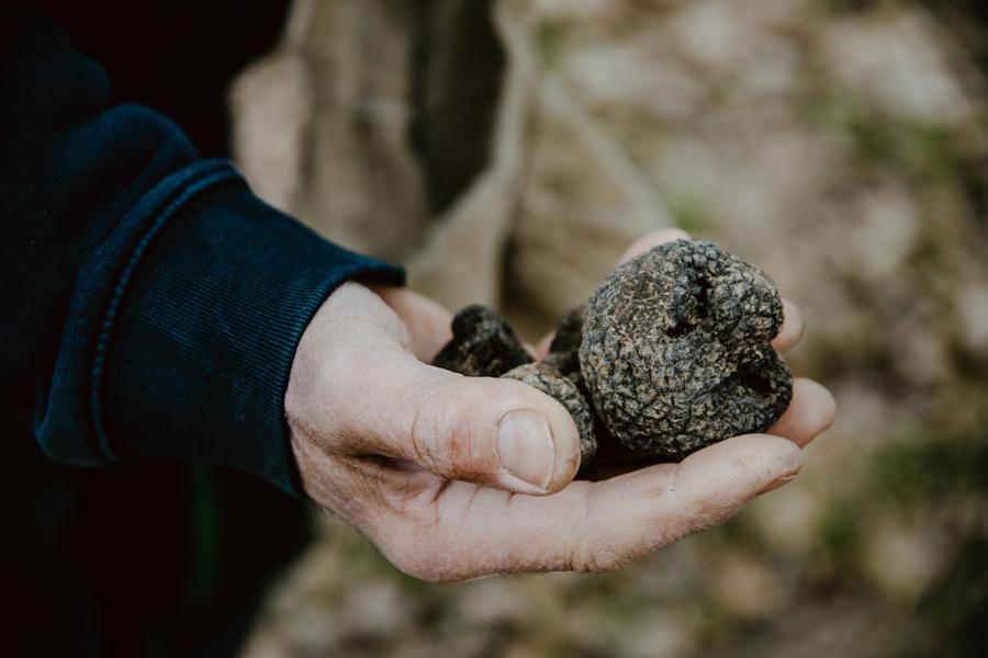 Saveurs de truffes et vins d'Ardèche avec Néovinum