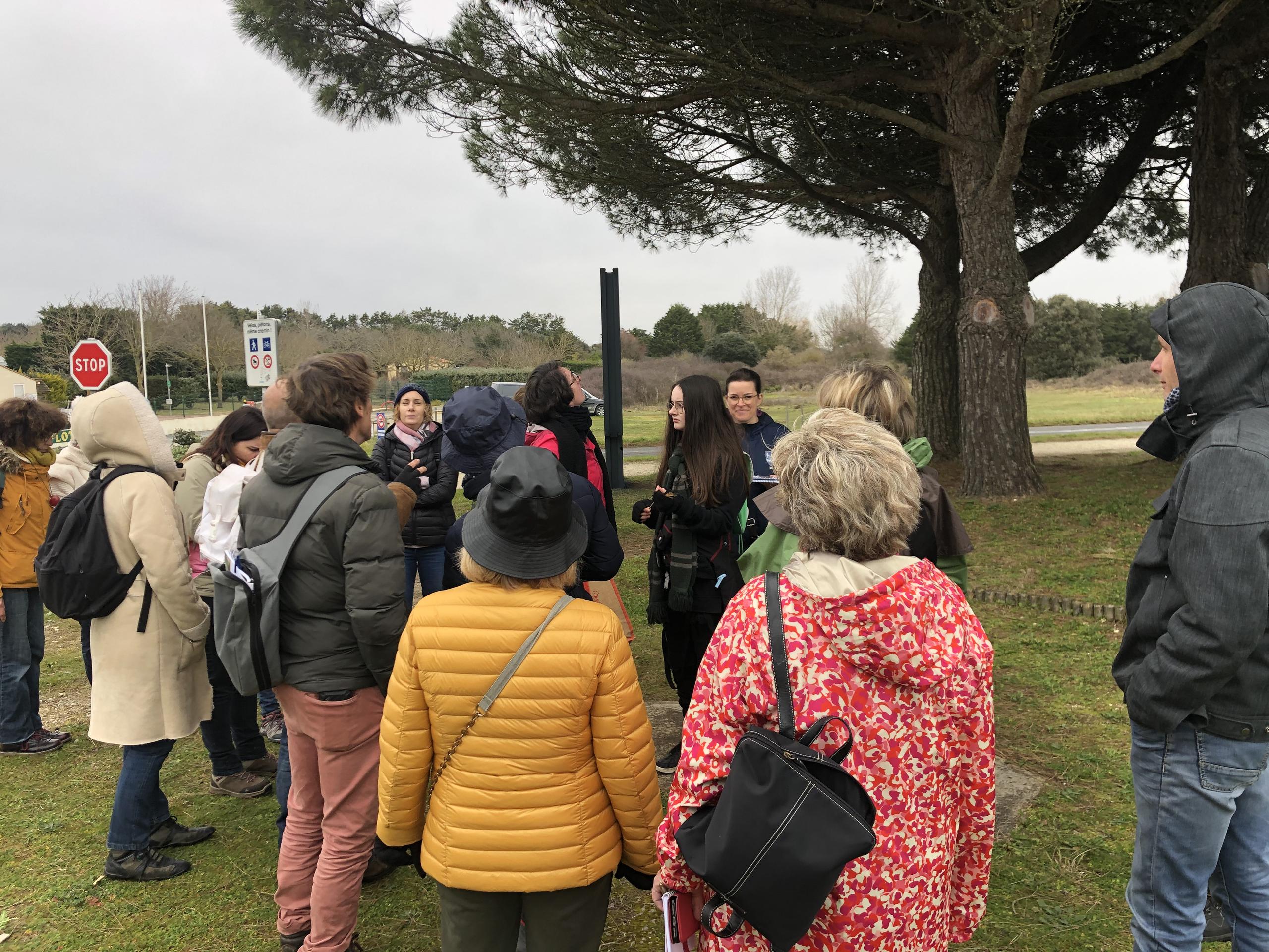 Sortie découverte des plantes sauvages de l’île d’Oléron dnas le cadre du festival Dyoni'val