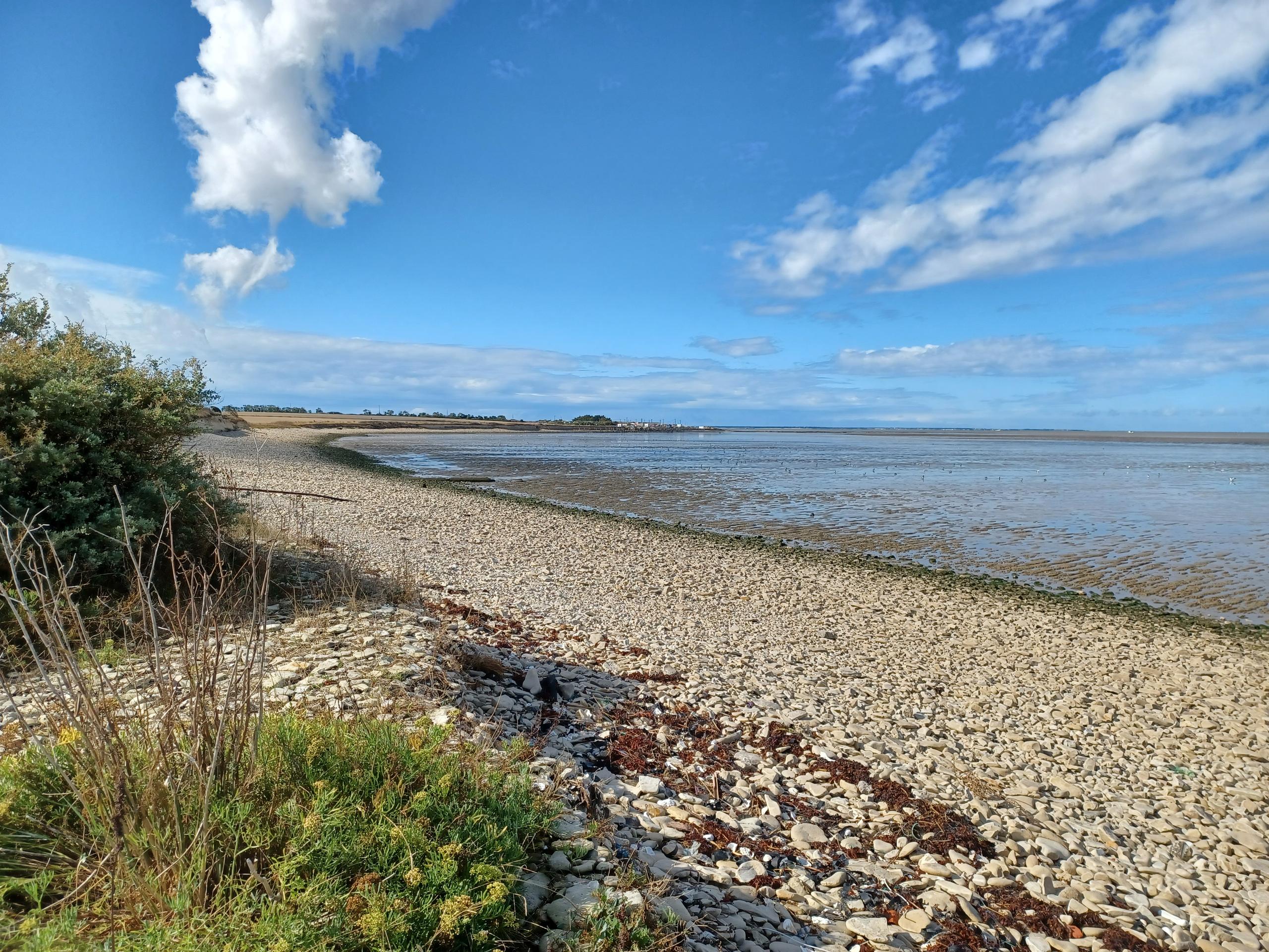 Animation - La baie au fil des saisons - Mars